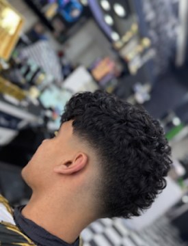 Curly Top mit Taper Fade